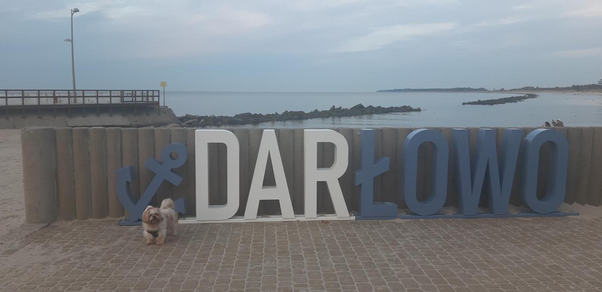 Pokoje Goscinne Galeon W Darlowku Ujście-Darłowskie Exterior foto